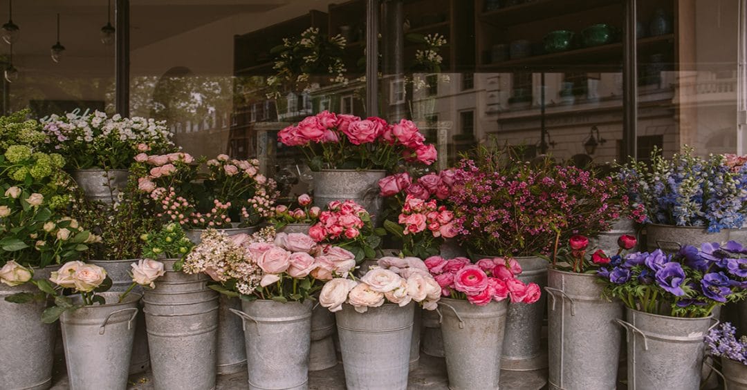 Best Flower Shops Outram