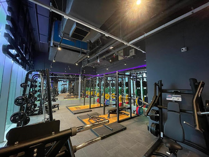 Anytime Fitness Gym Orchard 