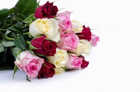 4 Best Flower Shops in Bukit Batok For Special Events Best Flower Shop In Bukit Batok