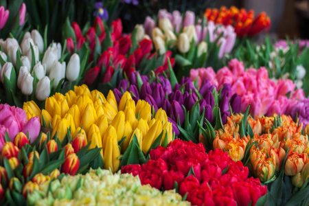 Best Queenstown Florist Singapore
