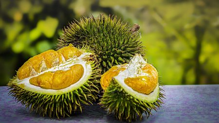 3 Best Durian In Geylang For Ultimate Fruit Experience Best Durian In Geylang