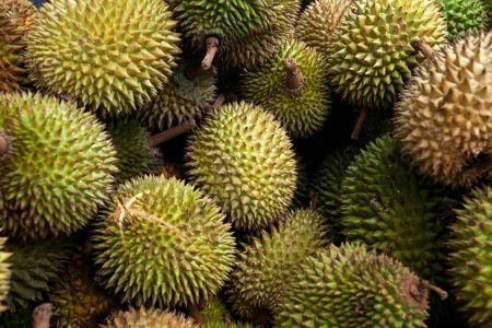 4 Best Durians In Yishun With Freshness You’ll Enjoy Best Durian Yishun