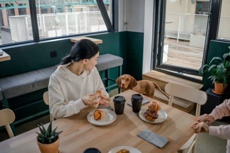 5 Best Punggol Pet-Friendly Cafes Loved By Furparents Best Pet Friendly Cafe Punggol